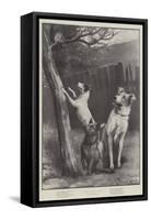 A Great Temptation-Fannie Moody-Framed Stretched Canvas