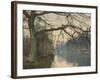 A Great Tree on a Riverbank, 1892 (Pencil, Pen and Black Ink and W/C on Paper)-William Fraser Garden-Framed Giclee Print