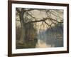 A Great Tree on a Riverbank, 1892 (Pencil, Pen and Black Ink and W/C on Paper)-William Fraser Garden-Framed Giclee Print