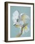 A Great White Crested Cockatoo-Aert Schouman-Framed Giclee Print