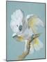 A Great White Crested Cockatoo-Aert Schouman-Mounted Giclee Print