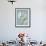 A Great White Crested Cockatoo-Aert Schouman-Framed Giclee Print displayed on a wall