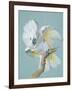 A Great White Crested Cockatoo-Aert Schouman-Framed Giclee Print