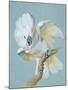 A Great White Crested Cockatoo-Aert Schouman-Mounted Giclee Print