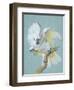 A Great White Crested Cockatoo-Aert Schouman-Framed Giclee Print