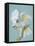 A Great White Crested Cockatoo-Aert Schouman-Framed Stretched Canvas