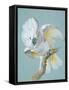 A Great White Crested Cockatoo-Aert Schouman-Framed Stretched Canvas