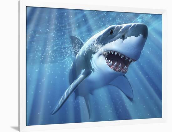 A Great White Shark with Sunrays Just Below the Surface-null-Framed Art Print