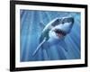 A Great White Shark with Sunrays Just Below the Surface-null-Framed Art Print