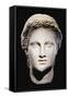 A Greek Marble Female Head, Classical Period, circa Mid 4th Century-null-Framed Stretched Canvas