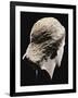 A Greek Marble Female Head from Behind, Classical Period, circa Mid 4th Century-null-Framed Giclee Print