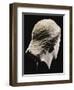 A Greek Marble Female Head from Behind, Classical Period, circa Mid 4th Century-null-Framed Giclee Print