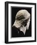 A Greek Marble Female Head from Behind, Classical Period, circa Mid 4th Century-null-Framed Giclee Print