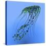 A Green and Blue Jellyfish Illustration-Stocktrek Images-Stretched Canvas