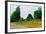 A green barn near President James Madison's home in rural Virginia-null-Framed Photographic Print