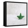 A Green Christmassy Star on Fleecy Ground-Petra Daisenberger-Framed Stretched Canvas