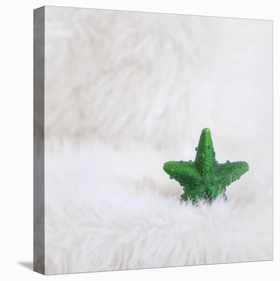 A Green Christmassy Star on Fleecy Ground-Petra Daisenberger-Stretched Canvas