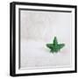 A Green Christmassy Star on Fleecy Ground-Petra Daisenberger-Framed Photographic Print