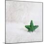 A Green Christmassy Star on Fleecy Ground-Petra Daisenberger-Mounted Photographic Print