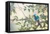 A Green-Headed Tanager Perching in a Tree in Ubatuba-Alex Saberi-Framed Stretched Canvas