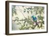 A Green-Headed Tanager Perching in a Tree in Ubatuba-Alex Saberi-Framed Photographic Print