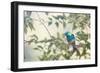 A Green-Headed Tanager Perching in a Tree in Ubatuba-Alex Saberi-Framed Photographic Print