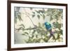 A Green-Headed Tanager Perching in a Tree in Ubatuba-Alex Saberi-Framed Photographic Print