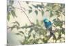 A Green-Headed Tanager Perching in a Tree in Ubatuba-Alex Saberi-Mounted Photographic Print