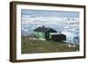 A Green House on the Shore with Icebergs in the Sea, Ilulissat, West Greenland-Natalie Tepper-Framed Photo