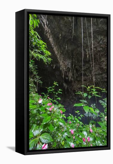 A Green Lush Jungle Entrance to the Grotto Azul Cave System in Bonito, Brazil-Alex Saberi-Framed Stretched Canvas