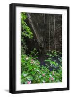 A Green Lush Jungle Entrance to the Grotto Azul Cave System in Bonito, Brazil-Alex Saberi-Framed Premium Photographic Print