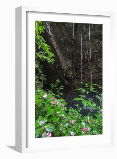 A Green Lush Jungle Entrance to the Grotto Azul Cave System in Bonito, Brazil-Alex Saberi-Framed Photographic Print