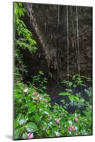 A Green Lush Jungle Entrance to the Grotto Azul Cave System in Bonito, Brazil-Alex Saberi-Mounted Photographic Print