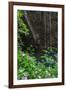 A Green Lush Jungle Entrance to the Grotto Azul Cave System in Bonito, Brazil-Alex Saberi-Framed Photographic Print