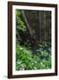 A Green Lush Jungle Entrance to the Grotto Azul Cave System in Bonito, Brazil-Alex Saberi-Framed Photographic Print