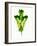 A Green Oak Leaf-Hermann Mock-Framed Photographic Print