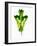 A Green Oak Leaf-Hermann Mock-Framed Photographic Print