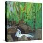 A Green Place-Angela Saxon-Stretched Canvas