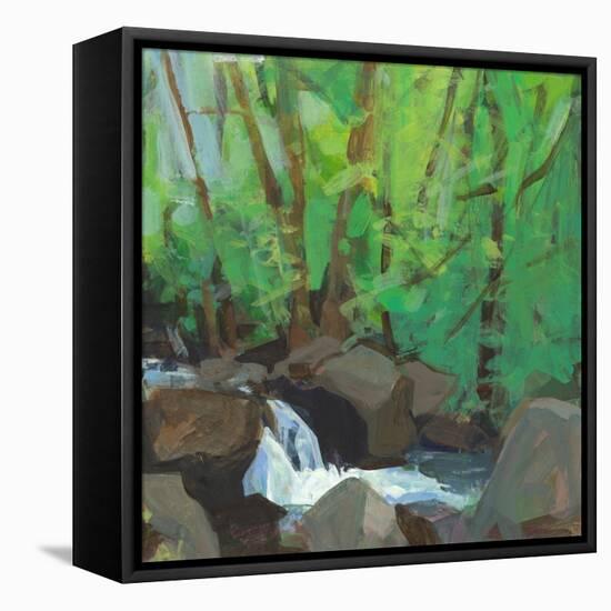 A Green Place-Angela Saxon-Framed Stretched Canvas