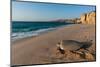 A green sea turtle, Chelonia mydas, returning to the sea after laying her eggs. Ras Al Jinz, Oman.-Sergio Pitamitz-Mounted Photographic Print