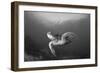 A Green Turtle Swimming in Komodo National Park, Indonesia-Stocktrek Images-Framed Photographic Print