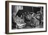 A Greengrocer of the Commercial Road, London, 1926-1927-null-Framed Giclee Print