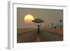 A Grey Alien Hitching a Ride from a Passing Ufo-Stocktrek Images-Framed Art Print