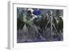 A Grey Alien Researcher Exploring Woodlands-Stocktrek Images-Framed Art Print