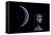 A Grey Alien with Planet Earth in the Background-null-Framed Stretched Canvas