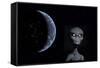 A Grey Alien with Planet Earth in the Background-null-Framed Stretched Canvas