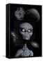 A Grey Alien-null-Framed Stretched Canvas