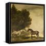 A Grey and a Bay in a Landscape-George Stubbs-Framed Stretched Canvas