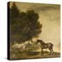 A Grey and a Bay in a Landscape-George Stubbs-Stretched Canvas