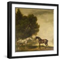 A Grey and a Bay in a Landscape-George Stubbs-Framed Giclee Print